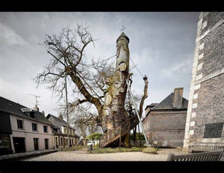 Incredible Oak Chapel