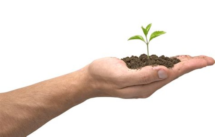Soil In Hand